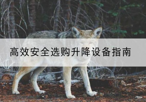 浏阳升降货梯厂家推荐-*安全选购升降设备指南