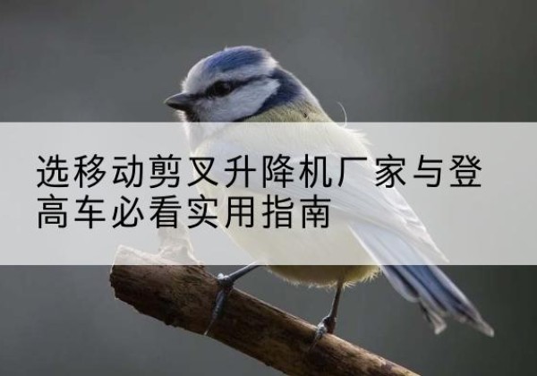 浏阳电动升降机厂家-选移动剪叉升降机厂家与登高车必看实用指南