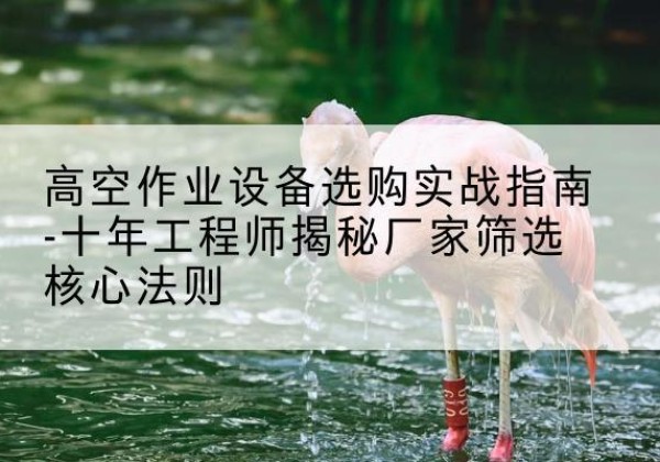 浏阳剪叉式升降机厂家-高空作业设备选购实战指南-十年工程师揭秘厂家筛选核心法则